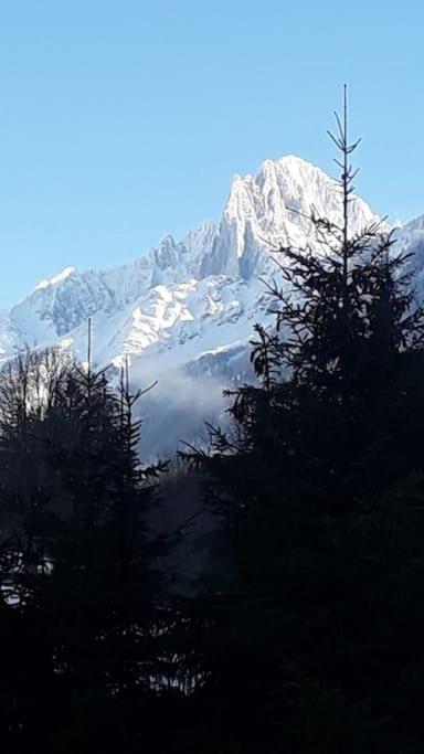 Chalet Les Charmilles - Vallee De Chamonix - 5 Chambres Ле-Уш Екстер'єр фото